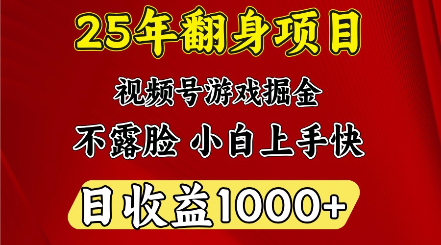 一天收益1000+ 25年开年落地好项目-资源V站