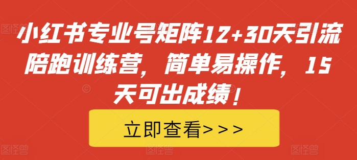 小红书专业号矩阵12+30天引流陪跑训练营，简单易操作，15天可出成绩!-资源V站