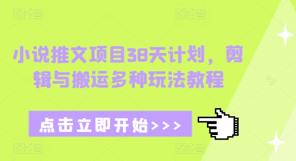 小说推文项目38天计划，剪辑与搬运多种玩法教程-资源V站