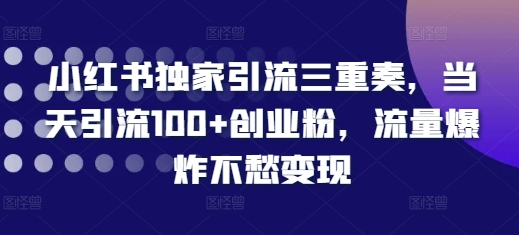小红书独家引流三重奏，当天引流100+创业粉，流量爆炸不愁变现【揭秘】-资源V站