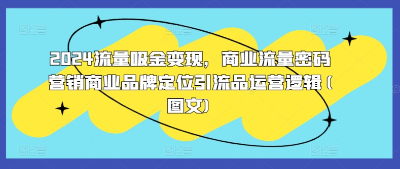 2024流量吸金变现，商业流量密码营销商业品牌定位引流品运营逻辑(图文)-资源V站