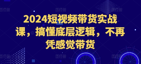 2024短视频带货实战课，搞懂底层逻辑，不再凭感觉带货-资源V站