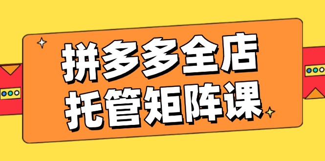拼多多全店托管矩阵课，盈利动销玩法，高效计划设置，提升店铺效益-资源V站