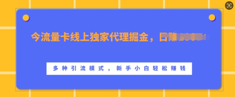 流量卡线上独家代理掘金，日入1k+ ，多种引流模式，新手小白轻松上手【揭秘】-资源V站