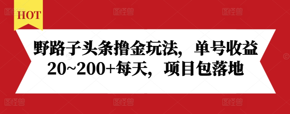 野路子头条撸金玩法，单号收益20~200+每天，项目包落地-资源V站