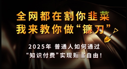 知识付费如何做到月入过W+，2025我来教你做“镰刀”【揭秘】-资源V站