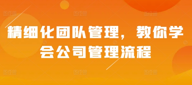 精细化团队管理，教你学会公司管理流程-资源V站