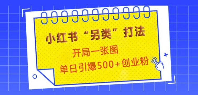 小红书“另类”打法，开局一张图，单日引爆500+精准创业粉【揭秘】-资源V站