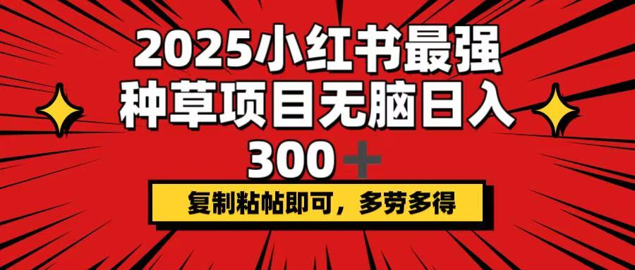 2025小红书最强种草项目，无脑日入300+，复制粘帖即可，多劳多得-资源V站