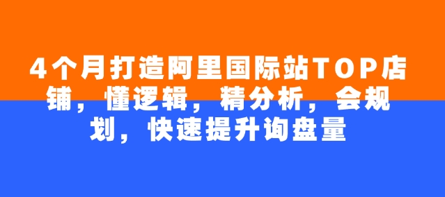 4个月打造阿里国际站TOP店铺，懂逻辑，精分析，会规划，快速提升询盘量-资源V站