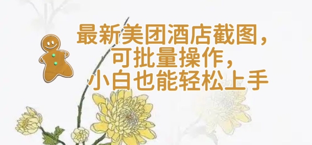 【轻云】最新美团酒店截图，可批量操作，小白也能轻松上手-资源V站