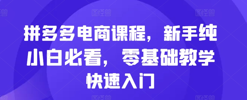 拼多多电商课程，新手纯小白必看，零基础教学快速入门-资源V站