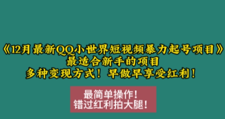 12月最新QQ小世界短视频暴力起号项目，最适合新手的项目，多种变现方式-资源V站