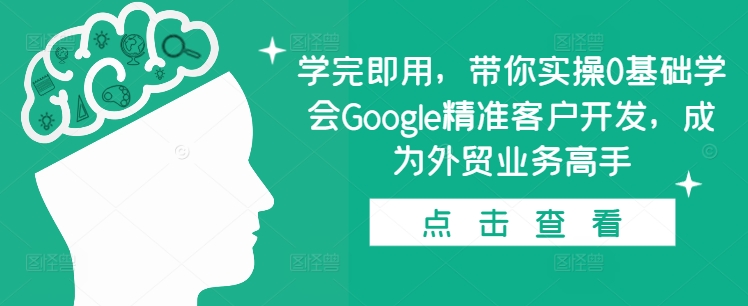 学完即用，带你实操0基础学会Google精准客户开发，成为外贸业务高手-资源V站