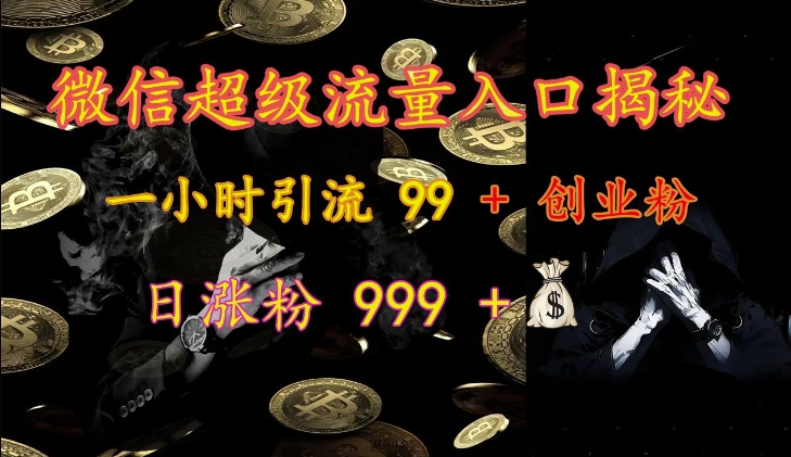 微信超级流量入口揭秘：一小时引流 99 + 创业粉，日涨粉 999 +-资源V站