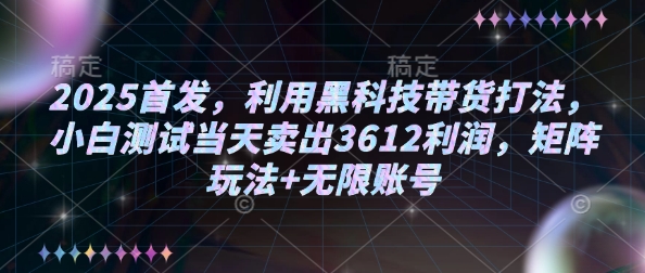 2025首发，利用黑科技带货打法，小白测试当天卖出3612利润，矩阵玩法+无限账号【揭秘】-资源V站