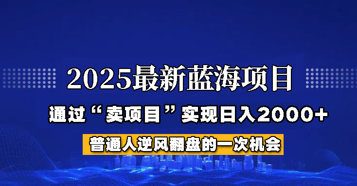 2025年蓝海项目，如何通过“网创项目”日入2000+-资源V站
