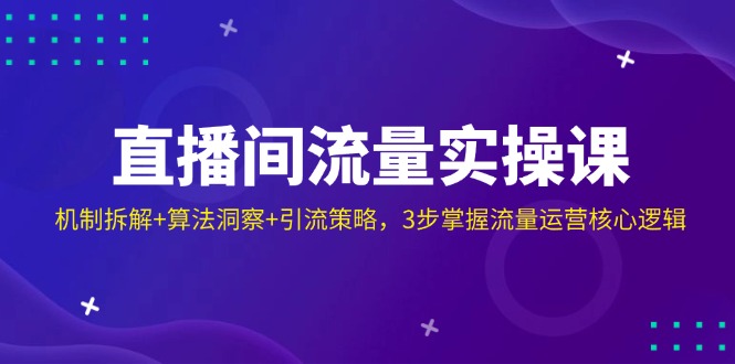 直播间流量实操课：机制拆解+算法洞察+引流策略，3步掌握流量运营核心逻辑-资源V站