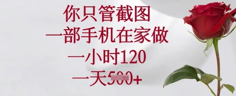 你只管截图，一部手机在家做，一小时120.一天5张【揭秘】-资源V站