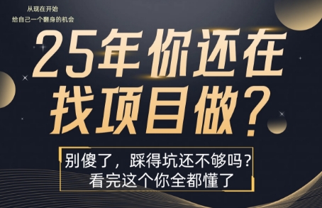 25年，你还在疯狂的找项目吗？别傻了，看完这个你都懂了【揭秘】-资源V站