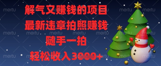 解气又挣钱的项目，最新违章拍照挣钱，随手一拍，轻松收入数张【揭秘】-资源V站