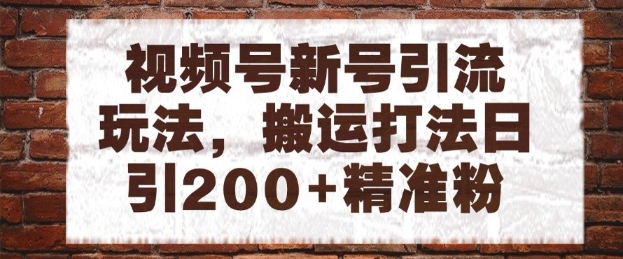 视频号新号引流玩法，搬运打法日引200+精准粉，可矩阵放大【揭秘】-资源V站