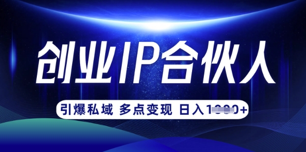 云帆·创业ip合伙人打造3.0，从0到1教你做网创，实现月入过W-资源V站