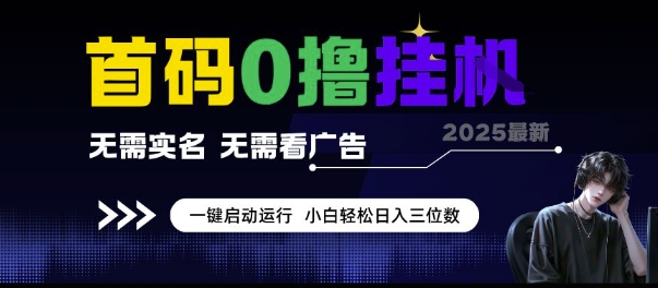 首码0撸挂G项目，无需实名无需看广告 一键启动运行，小白轻松日入三位数【揭秘】-资源V站