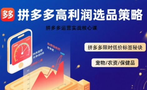拼多多选品暴利技术实战课，拼多多高利润选品策略，拼多多限时低价标签秘诀-资源V站