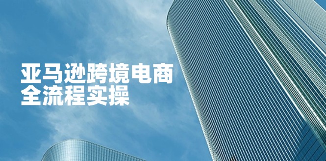 亚马逊跨境电商全流程实操，教你从零开始，掌握店铺运营与广告技巧-资源V站