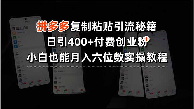 拼多多复制粘贴引流秘籍，日引400+付费创业粉，小白也能月入六位数实操…-资源V站