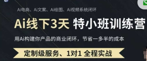 AI实操培训第20-21期线下，0基础保姆级教程，3月最新整理，企业获客、降本增效、打造超级个体-资源V站