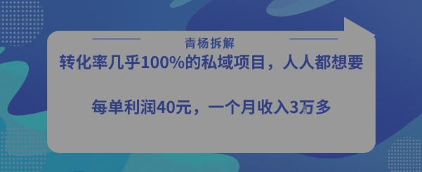 转化率最高的私域项目，每单利润40-50米，月入过1w-资源V站