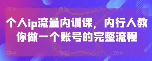 个人ip流量内训课，内行人教你做一个账号的完整流程-资源V站
