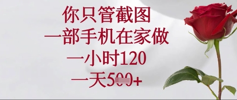 你只管截图，一部手机在家操作，一小时120.一天5张【揭秘】-资源V站