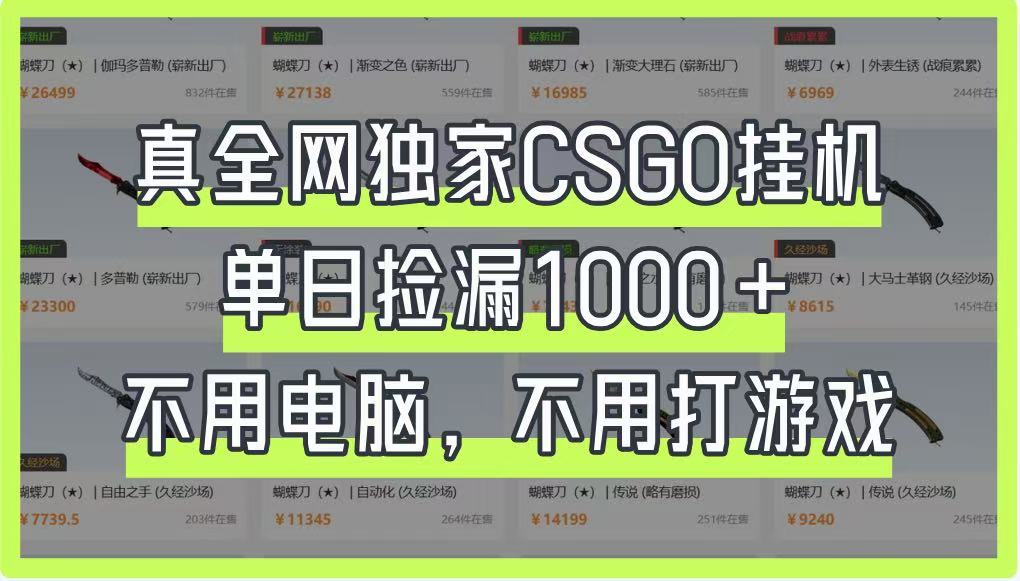 真全网独家CSGO挂机，单日捡漏1000+，不用电脑，不用养号-资源V站
