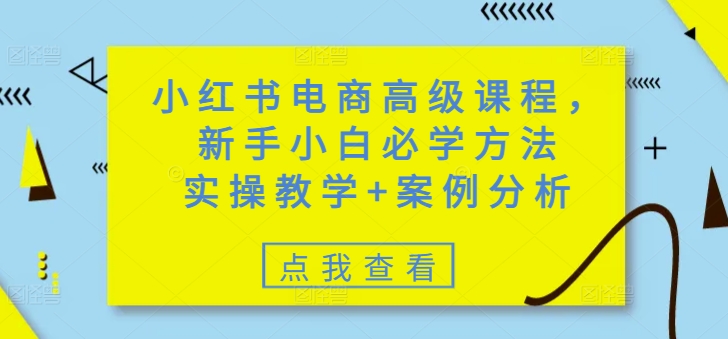 小红书电商高级课程，新手小白必学方法，实操教学+案例分析-资源V站