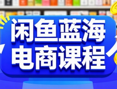 闲鱼蓝海电商课程，手把手助你快速上手，轻松实现闲鱼稳定盈利-资源V站