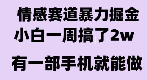 情感暴力掘金项目，新人操作一周挣了2W，长期稳定小白可做【揭秘】-资源V站