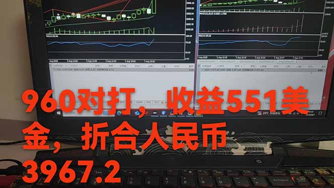 图片[1]-稳定8年的美刀搬砖项目，单人每日收益800—3000.团队4人月入10W+.可线下-资源V站