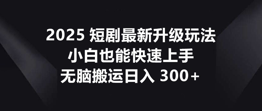 2025短剧最新升级玩法，小白也能快速上手，无脑搬运日入300+-资源V站