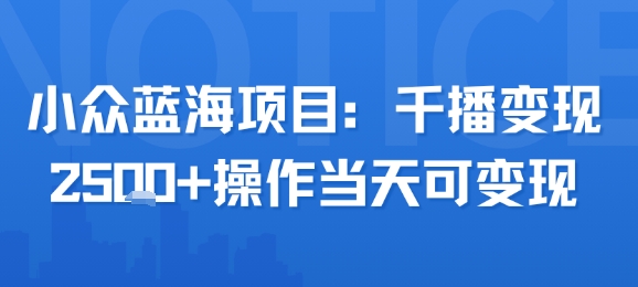 小众蓝海项目，千播变现2.5k+操作当天可变现-资源V站