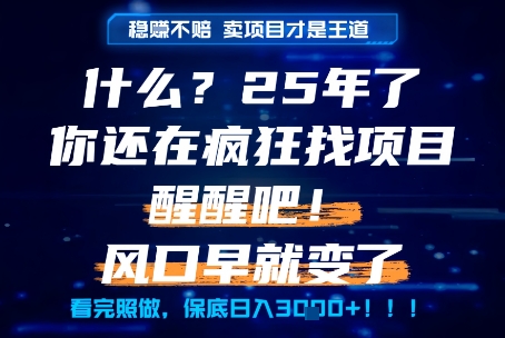 什么？25年你还在疯狂找项目做，醒醒吧，看完这些你全都懂了！【揭秘】-资源V站