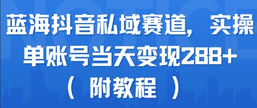 蓝海抖音私域赛道，实操单账号当天变现288+(附教程)-资源V站