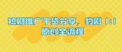 短剧推广干货分享，豹剧 1:1原创全流程-资源V站