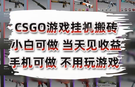 CSGO游戏挂G搬砖，小白纯手机即可操作，不用电脑打游戏，日入3张+，副业网创项目【揭秘】-资源V站