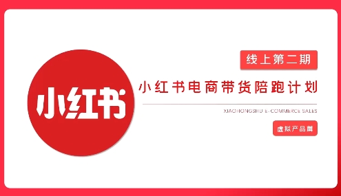 2025小红书虚拟电商实战课，从0到1打造无货源店铺，AI+爆款笔记轻松变现-资源V站