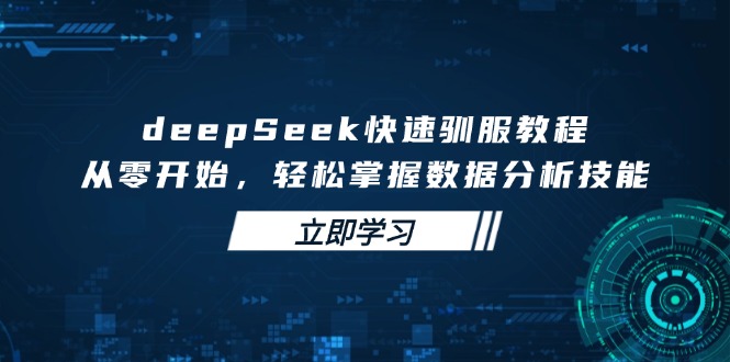 deepSeek快速驯服教程，从零开始，轻松掌握数据分析技能-资源V站