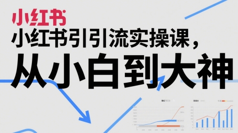 小红书引流实操课，从小白到大神-资源V站
