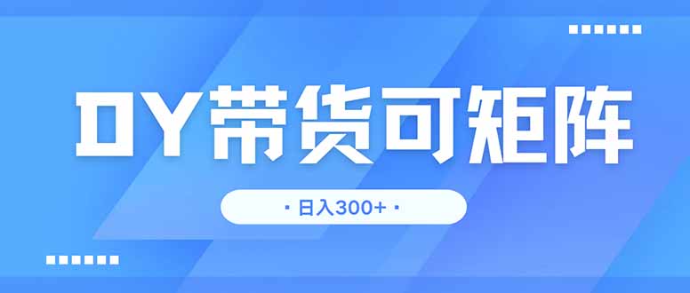 DY带货，日入300＋矩阵无上限-资源V站